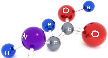 Amino acids, ամինաթթուներ